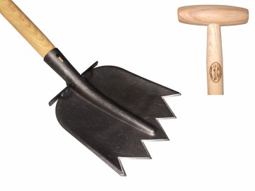 20360 f0bcb40c 224b 4e49 b80a ce4ef812c5ce.jpg