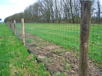 Dassengaas crapal 254x508 mm 50 t m 150 cm3 0