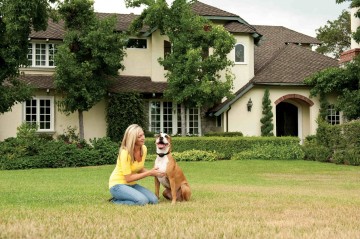 Draadloos omheiningsysteem stayplay1 3