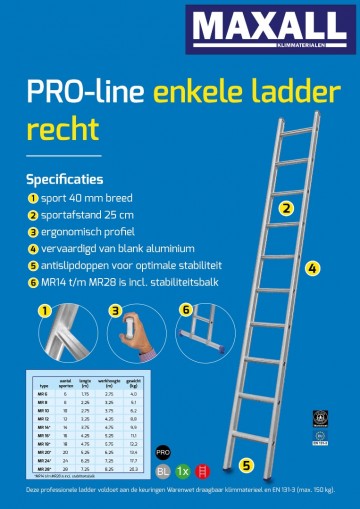 Enkele ladder met rechte bomen 6 t m 28 sporten1 4