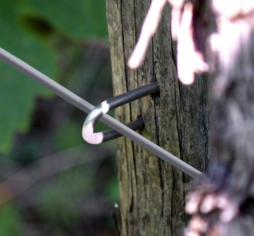 Harpoenkrammen crapal4 verzinkt 35 t m 50 mm1 7