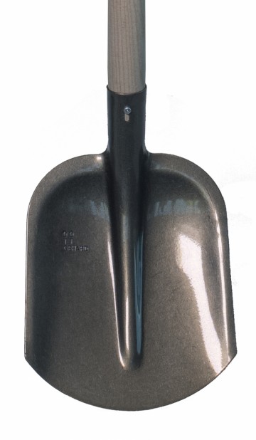 Hht101 detail dsc 4831 vrijstaand.jpg