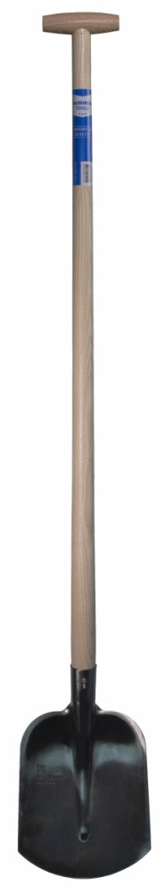 Hht102 dsc 4830 vrijstaand.jpg