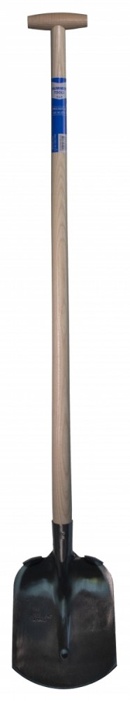 Hht103 dsc 4827 vrijstaand.jpg