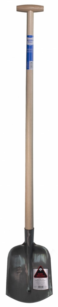 Hht104 dsc 4832 vrijstaand.jpg