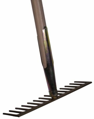 Asfalthark 14 tands zijaanzicht