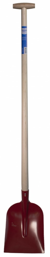 Hht354 dsc 4828x vrijstaand.jpg