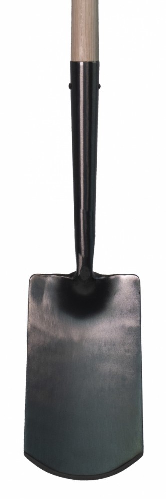 Hht452 detail dsc 4823 vrijstaand.jpg