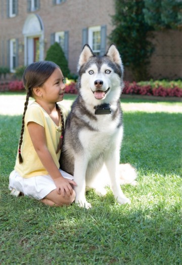 Omheiningsysteem met draad voor grotere moeilijke1 1