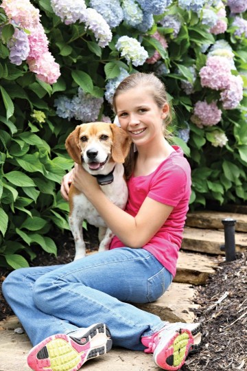 Ontvanger voor omheiningsysteem met draad1 1