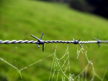 Puntdraad scorpio crapal2 verzinkt 100 t m 500 m1 0