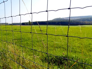 Schapengaas zwaar prairie crapal4 verzinkt 80 t m1 9