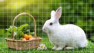 Volieregaas volinet verzinkt 19x145 mm 100 cm1 2