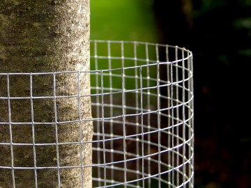 Volieregaas volinet verzinkt 19x145 mm 60 120 cm1 1