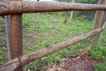Zeskantgaas avigal pvc groen 25x10 mm 50 t m 100 c1 3